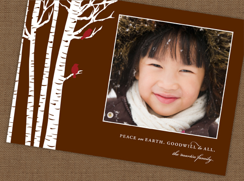 birch + cardinals  |  chocolate