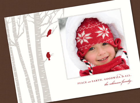 birch + cardinals  |  ash